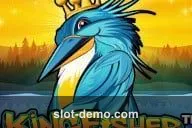 Kingfisher slot
