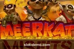 Meerkat Misfits cover