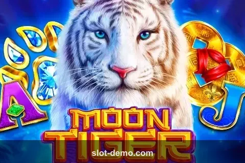 Moon Tiger cover