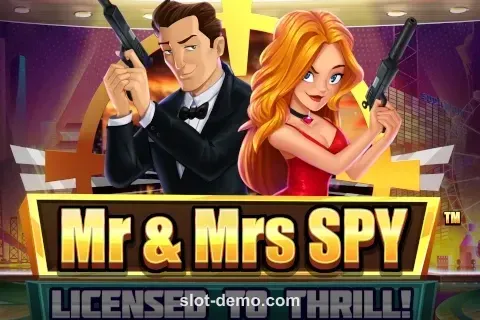 Mr & Mrs Spy cover