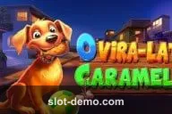 O Vira-lata Carmelo cover