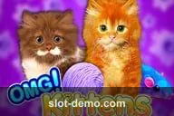 OMG Kittens slot
