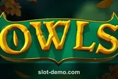 Owls slot