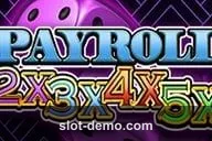 Payroll 2X3X4X5X cover