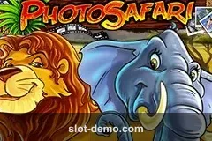 Photo Safari cover