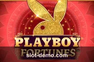 Playboy Fortunes cover