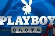 Playboy Hot Zone cover