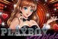 Playboy Wilds cover