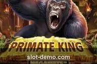 Primate King Megaways cover