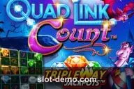 Quad Link: Count cover
