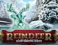 Reindeer Wild Wins cover