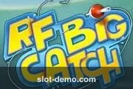 RF Big Catch cover