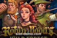 Robin Hood's Wild Forest cover