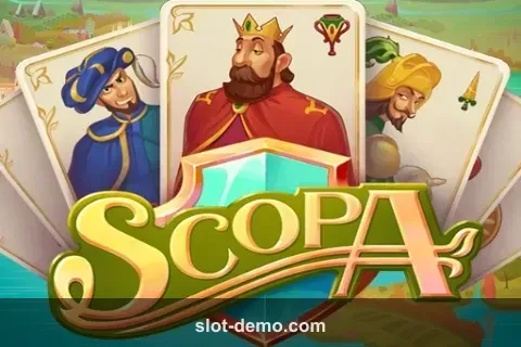 Scopa cover
