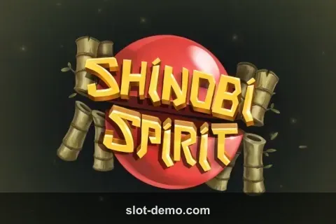 Shinobi Spirit cover