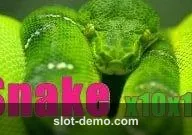 Snake cover