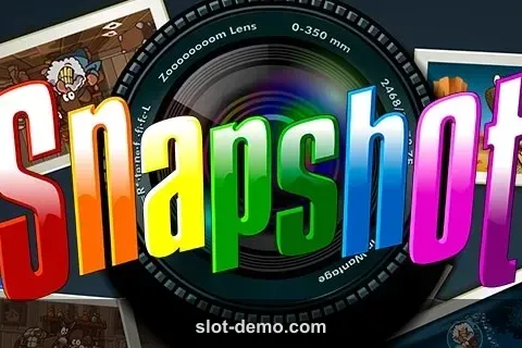 Snapshot cover