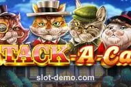 Stack A Cat cover