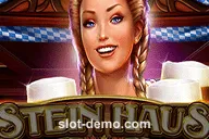 Stein Haus slot