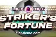 Striker's Fortune® cover