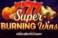 Super Burning Wins slot