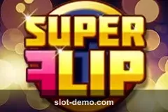 Super Flip cover