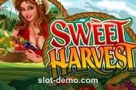 Sweet Harvest slot