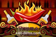 Tequila Fiesta slot