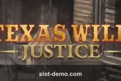 Texas Wild Justice cover