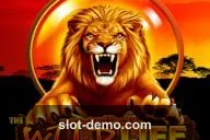 The Wild Life slot