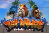Top Dawg$ cover