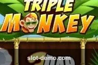 Triple Monkey slot