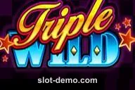 Triple Wild slot