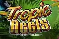 Tropic Reels slot