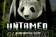Untamed Giant Panda slot