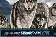 Untamed Wolf Pack cover
