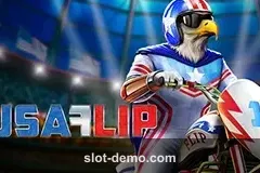 USA Flip slot