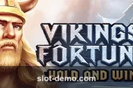 Vikings Fortune: Hold and Win slot