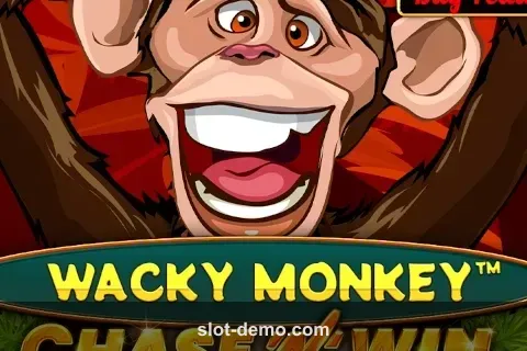 Wacky Monkey Chase 'N' Win cover