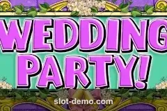 Wedding Party cover