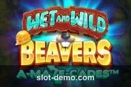 Wet and Wild Beavers cover