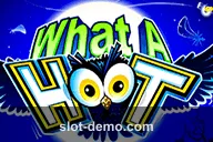 What a Hoot cover