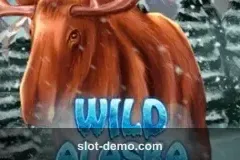 Wild Alaska slot