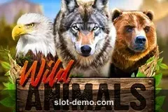 Wild Animals cover