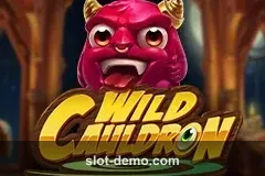 Wild Cauldron cover