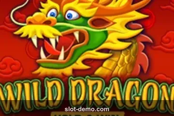Wild Dragon Hold & Win slot