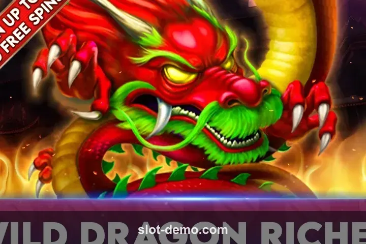 Wild Dragon Riches cover