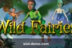 Wild Fairies cover