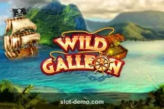 Wild Galleon cover