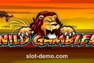 Wild Gambler slot